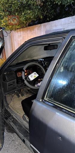 رينو رينو 19